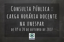 Consulta Pública