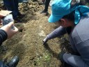 Estudantes de Biologia do campus Paranaguá realizam atividade de campo no litoral do Estado