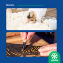 Estudantes e docentes da Unespar participam da IX Semana de Artes da UEM com apresentações e atividades