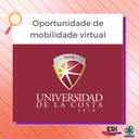 INSCRIÇÕES PARA CONVOCATÓRIA DE INTERCÂMBIO VIRTUAL ENCERRAM NESTA QURATA-FEIRA