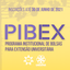 REDES- pibex.png