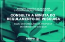 Minuta do Regulamento de Pesquisa