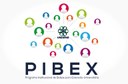 PIBEX 2018