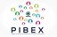 PIBEX 2018