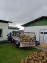 Projeto da Unespar aproveita casca de coco verde, preserva meio ambiente e gera renda no litoral