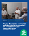 Projeto da Unespar em Campo Mourão transforma mandioca em vetor de inovação e desenvolvimento socioeconômico Projeto da Unespar em Campo Mourão transforma mandioca em vetor de inovação e desenvolvimento socioeconômico