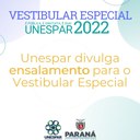 REDES - VEST ESPECIAL 2022 (1).jpg