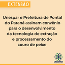 Unespar e Prefeitura de Pontal do Paraná assinam convênio para o desenvolvimento da tecnologia de extração e processamento do couro de peixe  (1).png