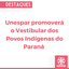 Unespar promoverá o Vestibular dos Povos Indígenas do Paraná  1.png